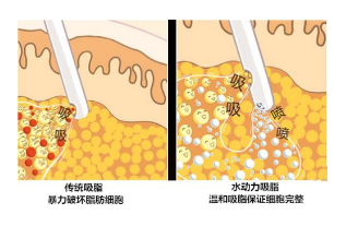 �Ͼ�������֬��������и�������?